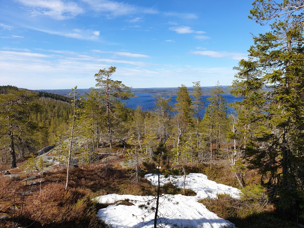 Kipari